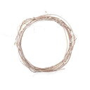 【ポイント10倍中 7/11 09:59迄】 リース 土台 とりよせ品 ライトリース・サンキライ 20cm(1セット5コ入り) インテリア 花資材 花器 ベース アレンジ 安い 装飾 フラワーアレンジメント 土台 母の日 結婚式 クリスマス 正月 ハロウィン 二次会 赤 大地農園