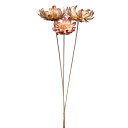 ドライフラワー 花材 即日出荷 サルフレア ステム付き ナチュラル 花材 素材 材料 パーツ ワイルドフラワー プロテア スワッグ ブーケ ドライフラワー花束 ...