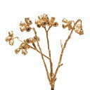 ドライフラワー 花材 即日出荷 コニカルガム ステム付き ゴールド 花材 素材 材料 パーツ ユーカリ ユーカリの実 スワッグ ブーケ ドライフラワー花束 ドラ...