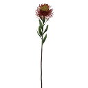 【ポイント10倍中 7/11 09:59迄】 造花 とりよせ品 特価 オールドピンクッション バーガンディ ワイルドフラワー インテリア インテリアフラワー フ...