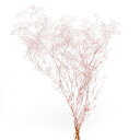 プリザーブドフラワー 花材 即日出荷 スーパーソフトミニカスミ草 マットピンク 花材 素材 材料 パーツ くすみカラー ピンク かすみ カスミ カスミ草 かすみ...