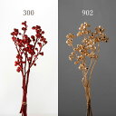 ドライフラワー 花材 即日出荷 アンバーナッツ 花材 素材 材料 パーツ ワイルドフラワー 赤 レッド ゴールド 金 ドライフラワー スワッグ ブーケ ドライフ...