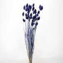 ドライフラワー 花材 即日出荷 ポアプランツ ネイビー 花材 素材 材料 パーツ 黄色 イエロー 山吹色 穂 ドライフラワー スワッグ ブーケ ドライフラワー花...