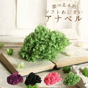 プリザーブドフラワー 花材 即日出荷 ソフトあじさいアナベル ドライフラワー 花材 素材 材料 パーツ アジサイ あじさい 紫陽花 ピンク 緑 黒 ブラック グ...