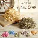 プリザーブドフラワー 花材 即日出荷 ソフトあじさいアナベル 彩楽(さら) ドライフラワー 花材 素材 材料 パーツ ピンク 青 ブルー ベージュ グレイ グリ...