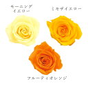 プリザーブドフラワー 花材 即日出荷 ローズ・いずみ・カラーアソート オレンジミックス 花材 ローズ バラ いずみ 薔薇 スワッグ ブーケ ドライフラワー プリザ 花束 リース アレンジ 素材 材料 パーツ アレンジメント ナチュラル 自然素材 装飾 大地農園(4)