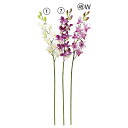 【ポイント10倍中 7/26 09:59迄】 造花 とりよせ品 デンファレ×8 つぼみ×3 長生蘭 ラン ランの花 デンドロビウム デンドロビューム インテリア...