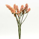 【ポイント10倍中 7/26 09:59迄】 ドライフラワー 花材 即日出荷 スターチス バレンシアオレンジ 花材 素材 材料 パーツ ドライフラワー オレンジ...