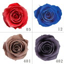 プリザーブドフラワー 花材 とりよせ品 スパークリングスプレーローズ(8輪入り) ドライフラワー 花材 素材 パーツ 材料 ローズ ハーバリウム プリザーブドローズ ブリザーブド Preserving ナチュラル バラ 薔薇 プリザーブド仏花 自然素材 インテリア