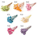 【ポイント10倍中 7/26 09:59迄】 ドライフラワー 花材 とりよせ品 マーガレット ドライ 花材 素材 パーツ 材料 ドライ 自然素材 ナチュラルドライフラワー インテリア インテリアフラワー プリ プリザ プリザーブド ハーバリウム スワッグ サシェ レジン