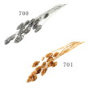 【ポイント10倍中 7/26 09:59迄】 ドライフラワー 花材 とりよせ品 シャイニーファラリス ドライ 花材 素材 パーツ 材料 ドライ 自然素材 ナチュラルドライフラワー インテリア インテリアフラワー プリ プリザ プリザーブド ハーバリウム スワッグ 封入