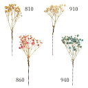 プリザーブドフラワー 花材 とりよせ品 プレタポルテ カスミソウ(30本セット) ドライフラワー 花材 素材 パーツ 材料 ハーバリウム プリザーブドローズ ブリザーブド Preserving ナチュラル スワッグ サシェ キャンドル ワックス レジン 封入 インテリア(4)