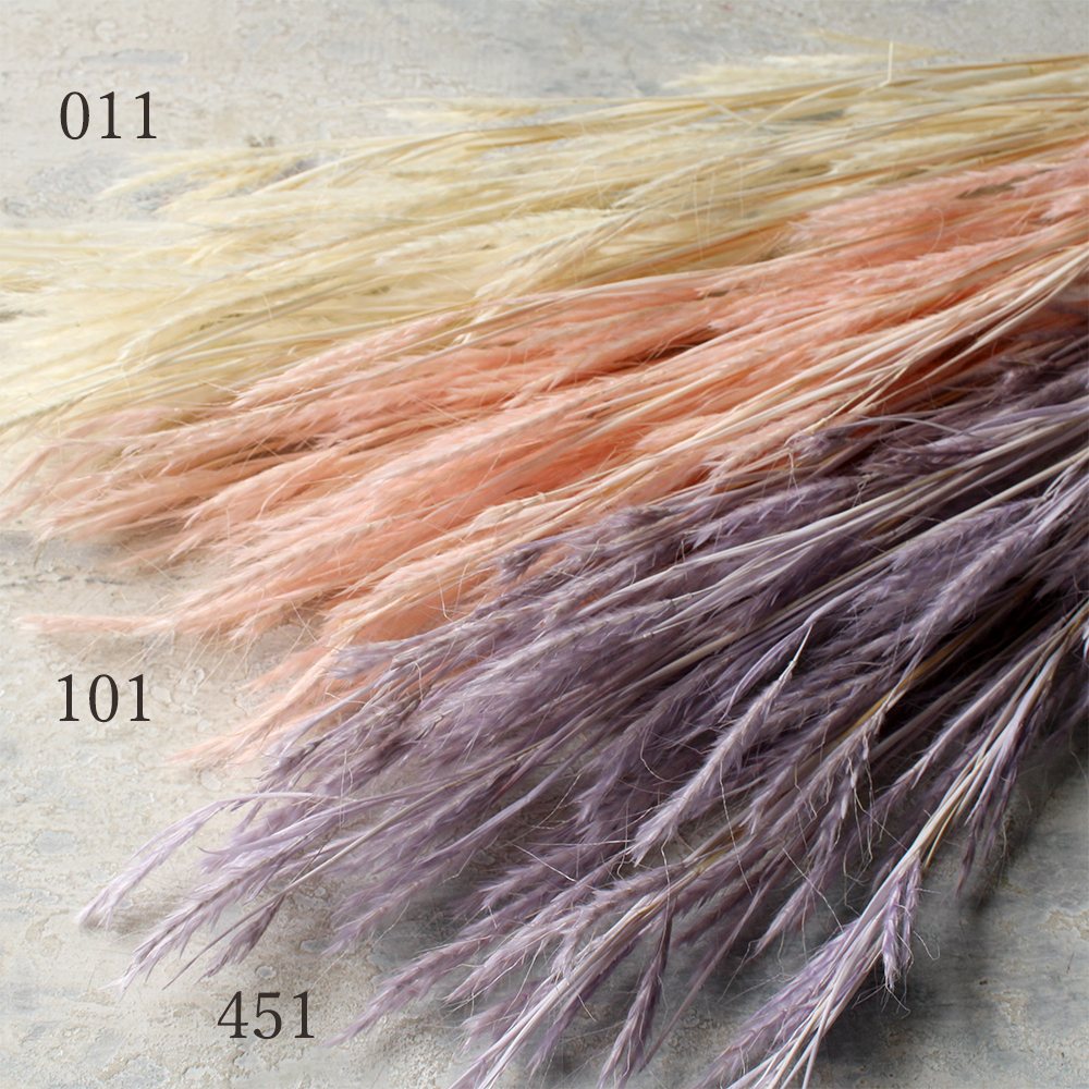 【ポイント3倍!30日限定!】 ドライフラワー 花材 とりよせ品 エアグラス 花材 素材 材料 パーツ ふわふわ 白 ピンク パープル 紫 スワッグ リース ブーケ 手作り ハンドメイド ドライフラワー 大地農園