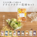 《 ドライフラワー 花材 》 ☆即日出荷☆花びし ドライフラワー 花材セット パーツ 素材 材料 詰め合わせ 詰合せ 小分け 少量 アソート ソラフラワー プリ...