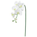 ★P10倍 10/14 20時から★ 造花 とりよせ品 コチョウラン×5 つぼみ×3 胡蝶蘭 ラン ランの花 インテリア インテリアフラワー フェイクフラワー ...
