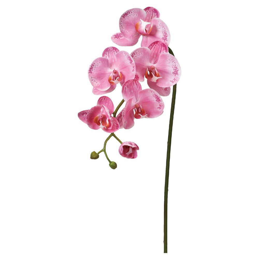 【P10倍 12/31まで!】 造花 とりよせ品 コチョウラン×5 つぼみ×3 胡蝶蘭 ラン ランの花 インテリア インテリアフラワー フェイクフラワー シルク...