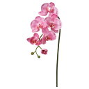 【ポイント10倍中 7/26 09:59迄】 造花 とりよせ品 コチョウラン×5 つぼみ×3 胡蝶蘭 ラン ランの花 インテリア インテリアフラワー フェイクフ...