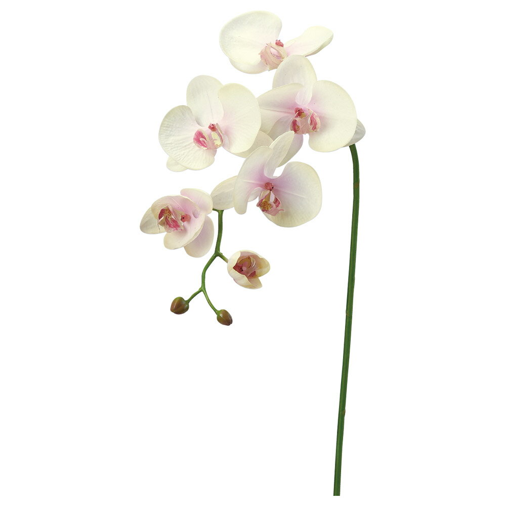 【P10倍 12/31まで!】 造花 とりよせ品 コチョウラン×5 つぼみ×3 胡蝶蘭 ラン ランの花 インテリア インテリアフラワー フェイクフラワー シルク...