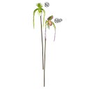 【ポイント10倍中 7/26 09:59迄】 造花 とりよせ品 パフィオ パフィオペディルム 蘭 蘭の花 ラン ランの花 インテリア インテリアフラワー フェイ...