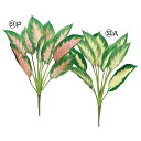 【ポイント10倍中 7/11 09:59迄】 造花 グリーン とりよせ品 ディフェンバキアブッシュ インテリア フェイク グリーン パーツ インテリアフラワー ...