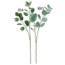 【ポイント10倍中 7/11 09:59迄】 造花 グリーン とりよせ品 ユーカリ ポプルス ポポラス インテリア フェイク グリーン パーツ インテリアフラワ...