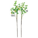 【ポイント10倍中 7/11 09:59迄】 造花 グリーン とりよせ品 ドッグウッドリーフスプレー 花水木 ハナミズキ インテリア フェイク グリーン パーツ...