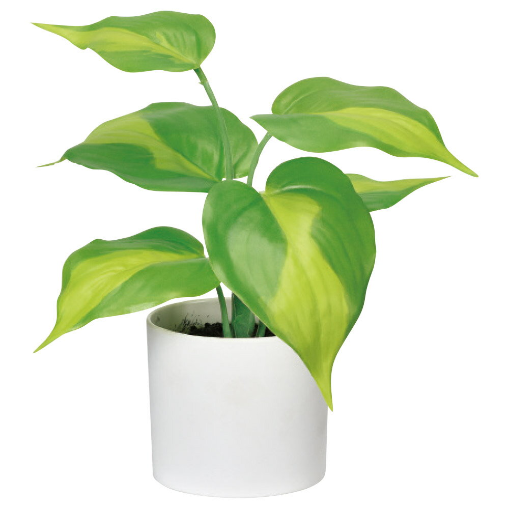 【P10倍 12/31まで！】 フェイクグリーン 観葉植物 とりよせ品 ポトス(ポット付) 造花 人工観葉 小さめ インテリア インテリアフラワー フェイクフラワー シルクフラワー 春 アスカ ASCA アスカ商会