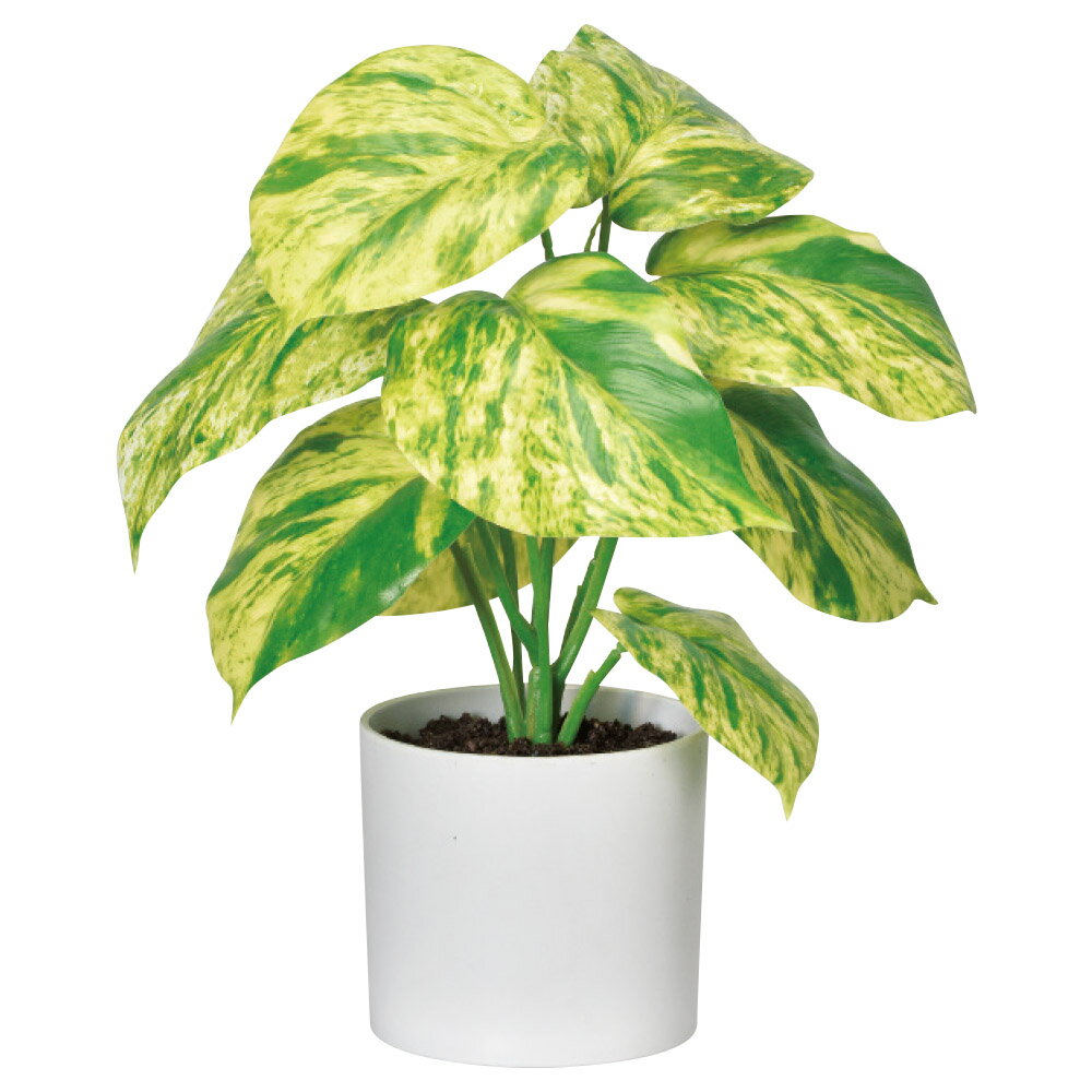 【P10倍 12/31まで！】 フェイクグリーン 観葉植物 とりよせ品 ポトス(ポット付) 造花 人工観葉 小さめ インテリア インテリアフラワー フェイクフラワー シルクフラワー 春 アスカ ASCA アスカ商会