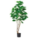 フェイクグリーン 観葉植物 とりよせ品 【メーカー直送品】ウンベラータ(ポット付)《代引決済・他商品と同梱不可》 観葉植物 1.5m 150cm 大型 おしゃれ...