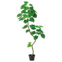フェイクグリーン 観葉植物 とりよせ品 【メーカー直送品】ウンベラータ(ポット付)《代引決済・他商品と同梱不可》 観葉植物 1.5m 150cm 大型 おしゃれ...