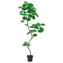 フェイクグリーン 観葉植物 とりよせ品 【メーカー直送品】ウンベラータ(ポット付)《代引決済・他商品と同梱不可》 観葉植物 1.8m 180cm 大型 安い ア...