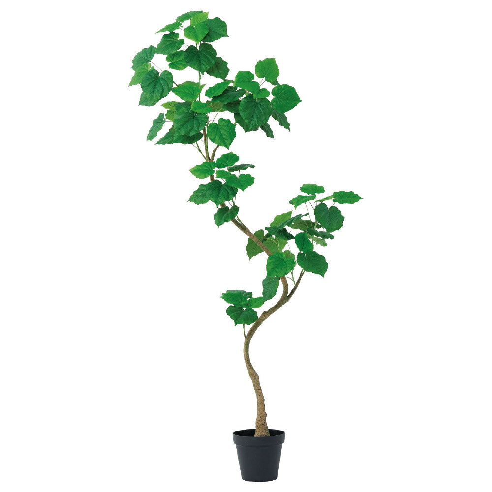 《 フェイクグリーン 観葉植物 》◆とりよせ品◆Asca(アスカ) 【メーカー直送品】ウンベラータ(ポット付)《代引決済・他商品と同梱不可》 グリーン観葉植物 2m 210cm 大型 おしゃれ ウンベラータ