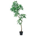 【ポイント10倍中 7/11 09:59迄】 フェイクグリーン 観葉植物 とりよせ品 【メーカー直送品】パキラ(ポット付)《代引決済・他商品と同梱不可》 観葉植...