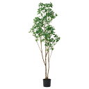 フェイクグリーン 観葉植物 とりよせ品 【メーカー直送品】アセビ(ポット付)《代引決済・他商品と同梱不可》 観葉植物 1.7m 175cm 大型 おしゃれ アセ...