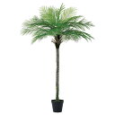 フェイクグリーン 観葉植物 とりよせ品 【メーカー直送品】パーム(ポット付)《代引決済・他商品と同梱不可》 観葉植物 2.2m 220cm 大型 ヤシ 椰子 春...