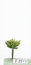 造花 グリーン 多肉植物 とりよせ品 セダム フェイクグリーン リーフ インテリア 多肉植物 南国風 トロピカル エアプランツ サッカレンテン サボテン パーツ...