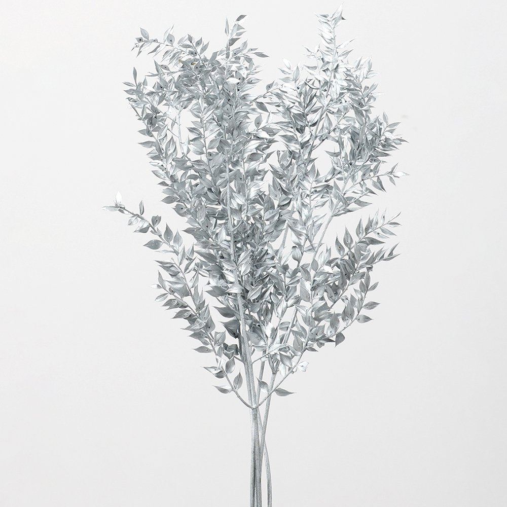 【ポイント3倍!30日限定!】 ドライフラワー 花材 即日出荷 ラスカス シルバー 花材 素材 材料 パーツ 銀色 スワッグ ブーケ ドライフラワー クリスマス 花束 リース アレンジ アレンジメント 大地農園