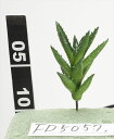 【ポイント10倍中 7/11 09:59迄】 造花 グリーン 多肉植物 とりよせ品 アロエピック フェイクグリーン リーフ インテリア 多肉植物 南国風 トロピ...