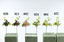 【ポイント10倍中 7/11 09:59迄】 造花 グリーン 実 とりよせ品 ワイルドグレープベリーピック フェイクグリーン インテリアグリーン パーツ アレン...
