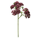 【ポイント10倍中 7/11 09:59迄】 造花 グリーン 多肉植物 とりよせ品 セダムピック バーガンディ エアプランツ サッカレンテン サボテン インテリ...