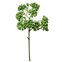 【ポイント10倍中 7/11 09:59迄】 造花 グリーン 多肉植物 とりよせ品 セダムピック グリーン エアプランツ サッカレンテン サボテン インテリア ...