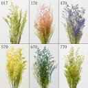 プリザーブドフラワー 花材 とりよせ品 カスピア 花材 素材 材料 パーツ ドライフラワー プリザ 花束 グリーン 緑 黄色 イエロー ピンク パープル ブルー 紫 青 リース アレンジ アレンジメント プリザーブドフラワー スワッグ ブーケ 自然素材 大地農園