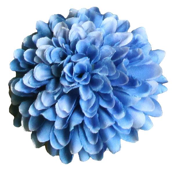 rp50587β