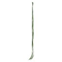 【ポイント10倍中 5/16 09:59迄】 造花 グリーン とりよせ品 シングルグラス (1袋12本入) インテリア フェイク グリーン パーツ インテリアフラワー フェイクフラワー シルクフラワー インテリアグリーン フェイクグリーン 花材 春 アスカ ASCA アスカ商会(4)