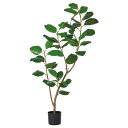 フェイクグリーン 観葉植物 【メーカー直送品】 ゴムの木(ポット付)《代引決済・他商品と同梱不可》 観葉植物 1.4m おしゃれ 人工観葉 インテリア アスカ ...