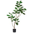 フェイクグリーン 観葉植物 【メーカー直送品】 ゴムの木(ポット付)《代引決済・他商品と同梱不可》 観葉植物 1.8m おしゃれ 人工観葉 ラバーツリー インテ...
