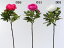 《 造花 》花びし/ハナビシ ラージピオニーボタン 牡丹 シャクヤク 芍薬