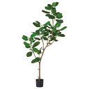 フェイクグリーン 観葉植物 【メーカー直送品】 ゴムの木(ポット付)《代引決済・他商品と同梱不可》 観葉植物 1m おしゃれ 人工観葉 ラバーツリー インテリア...