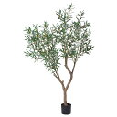 【ポイント10倍中 7/11 09:59迄】 フェイクグリーン 観葉植物 【メーカー直送品】 オリーブ(ポット付)《代引決済・他商品と同梱不可》 観葉植物 1....