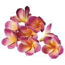 造花 とりよせ品 プルメリア(1袋8輪入) 南国 インテリア ピンク レイ ハワイ トロピカル インテリアフラワー フェイクフラワー シルクフラワー 花材 アスカ ASCA アスカ商会